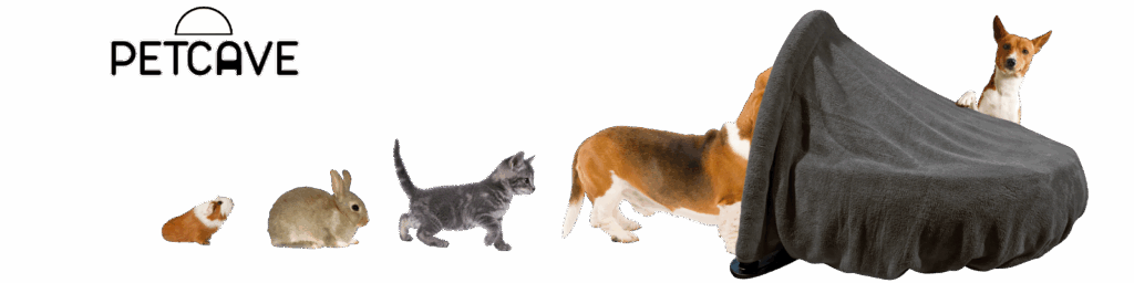 how to help my dog sleep better