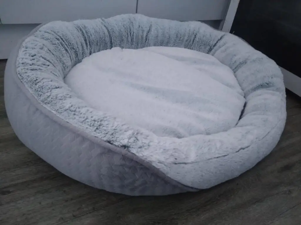 Isey's dog bed